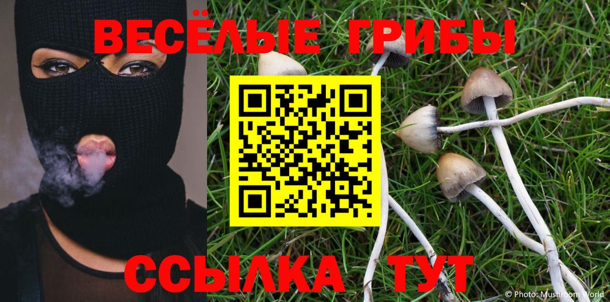 Холмск  даркнет сайт  Вход с VPN  Галлюциногенные грибы MAGIC MUSHROOMS 